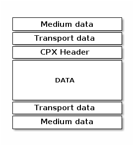Packet structure